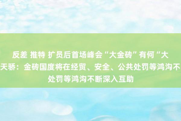 反差 推特 扩员后首场峰会“大金砖”有何“大看成”？江天骄：金砖国度将在经贸、安全、公共处罚等鸿沟不断深入互助