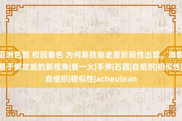 亚洲色图 校园春色 为何新技能老是阶段性出现、消散、再出现？基于解放能的新视角|衰一火|手斧|石器|自组织|相似性|acheulean