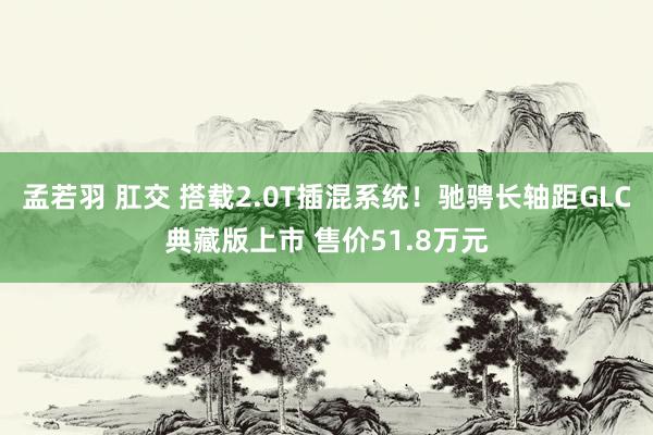 孟若羽 肛交 搭载2.0T插混系统！驰骋长轴距GLC典藏版上市 售价51.8万元