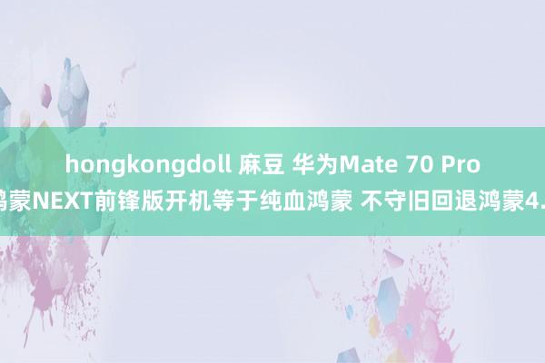 hongkongdoll 麻豆 华为Mate 70 Pro鸿蒙NEXT前锋版开机等于纯血鸿蒙 不守旧回退鸿蒙4.3